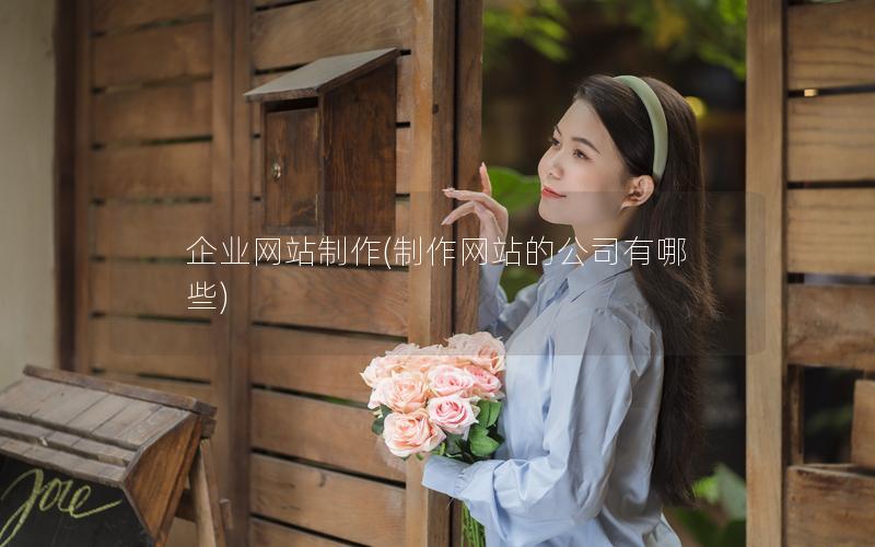 企业网站制作(制作网站的公司有哪些)