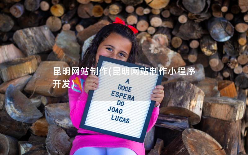 昆明网站制作(昆明网站制作小程序开发)