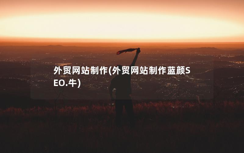 外贸网站制作(外贸网站制作蓝颜SEO.牛)