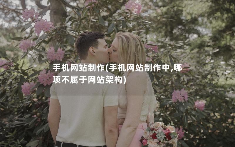 手机网站制作(手机网站制作中,哪项不属于网站架构)