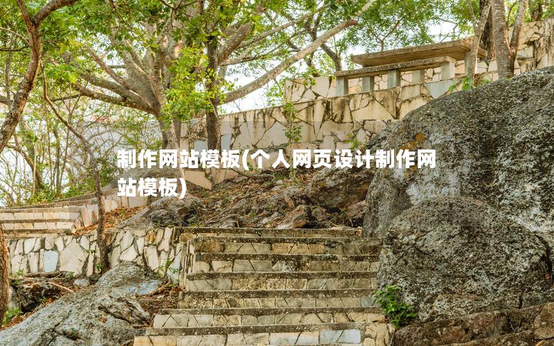 制作网站模板(个人网页设计制作网站模板)