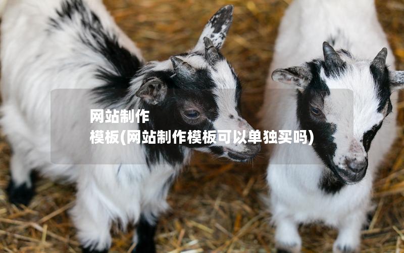网站制作 模板(网站制作模板可以单独买吗)