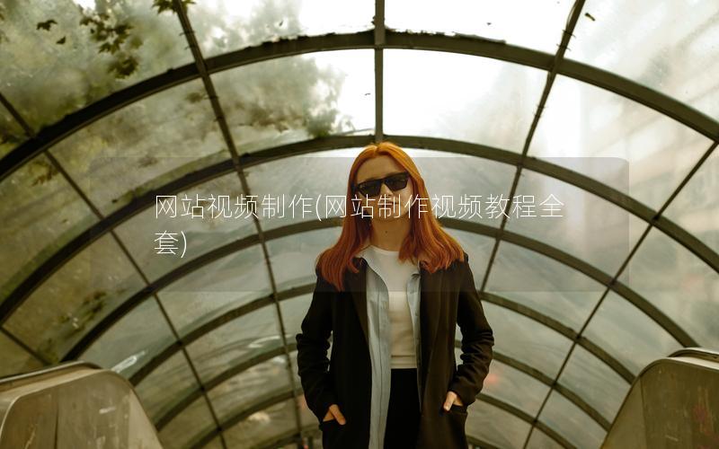 网站视频制作(网站制作视频教程全套)