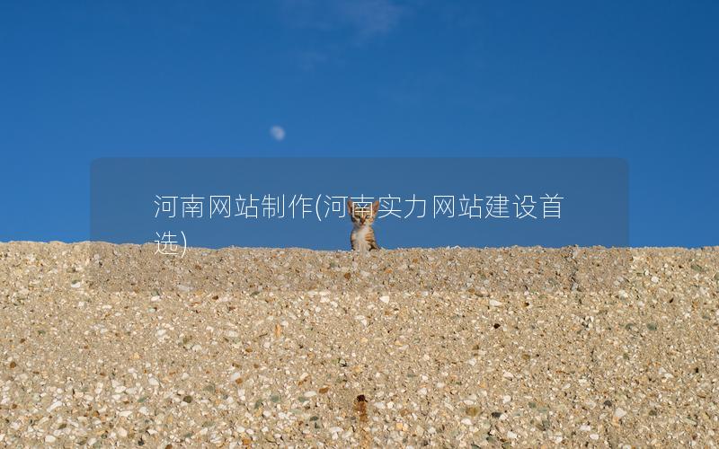 河南网站制作(河南实力网站建设首选)