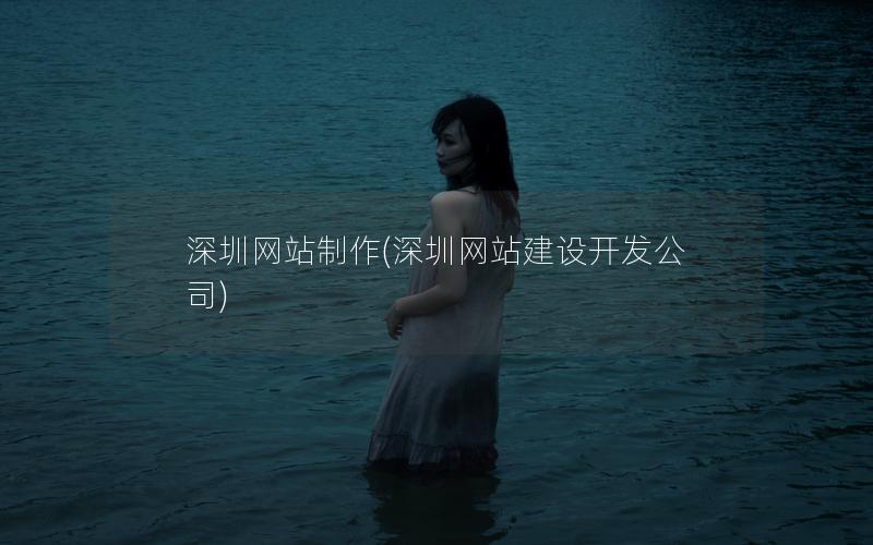 深圳网站制作(深圳网站建设开发公司)
