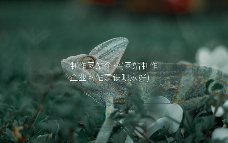 制作网站企业(网站制作 企业网站建设哪家好)