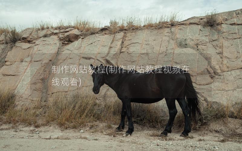 制作网站教程(制作网站教程视频在线观看)